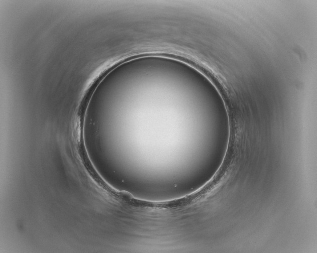 X0000116341509200912011338