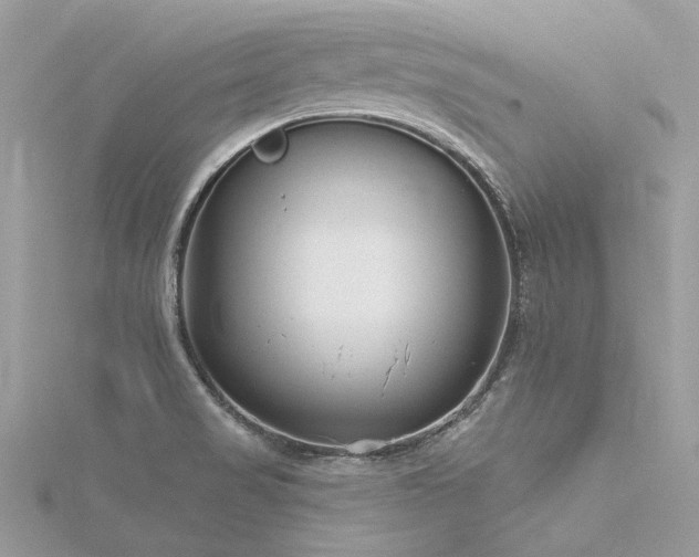 X0000116341517200912011338