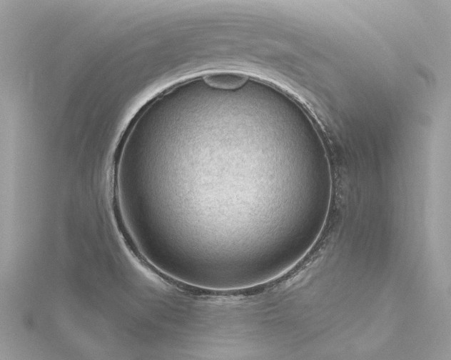X0000116341519200912011338