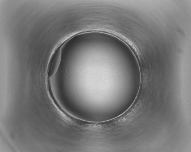 X0000116341525200912011339
