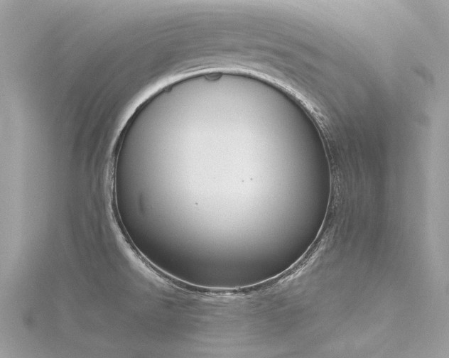 X0000116341526200912011339
