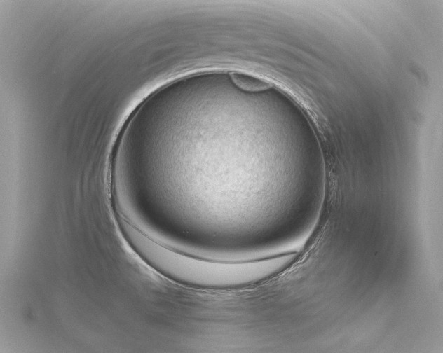 X0000116341527200912011339