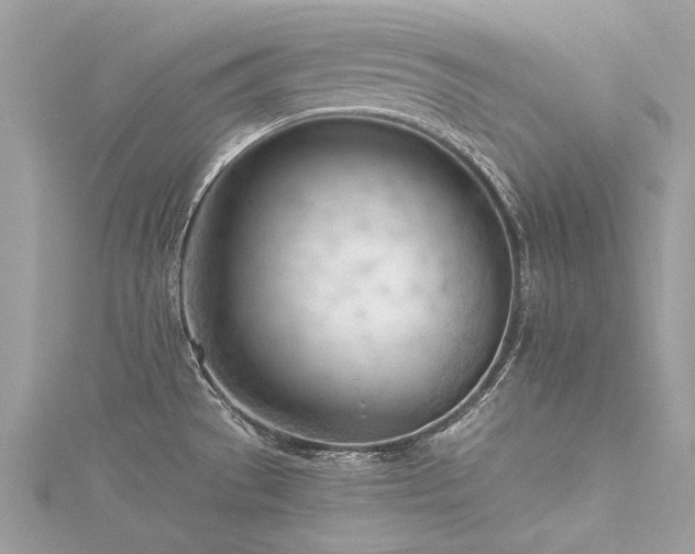 X0000116341529200912011339