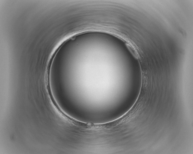 X0000116341531200912011339