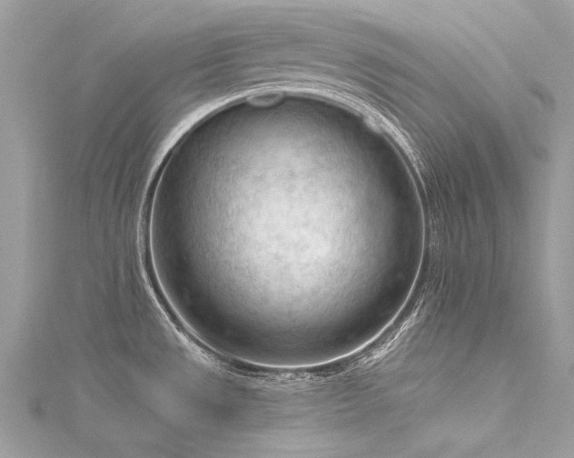 X0000116341533200912011339