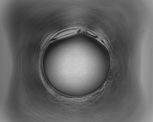 X0000116340001200912091119