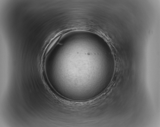 X0000116340002200912091119