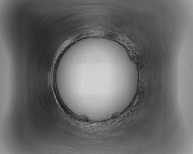 X0000116340003200912091119