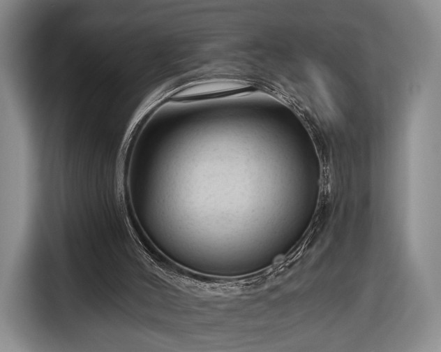 X0000116340004200912091119