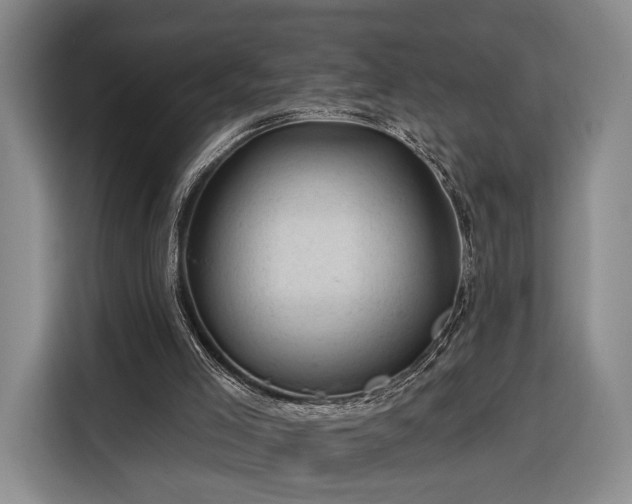 X0000116340005200912091119