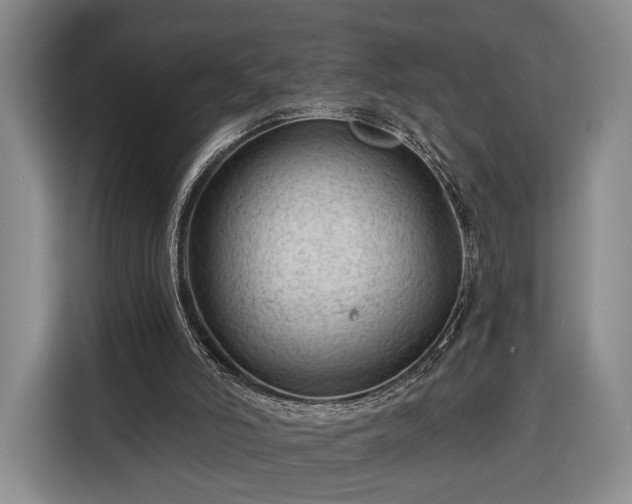 X0000116340006200912091119