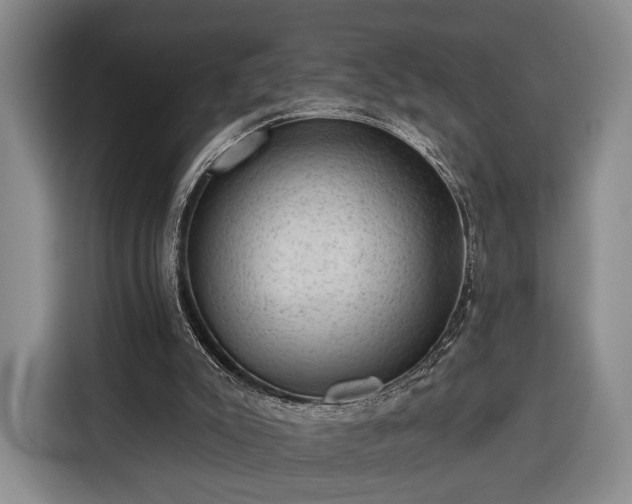 X0000116340007200912091119