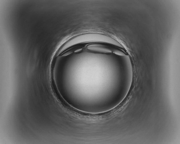 X0000116340008200912091119