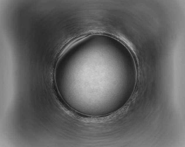 X0000116340009200912091119