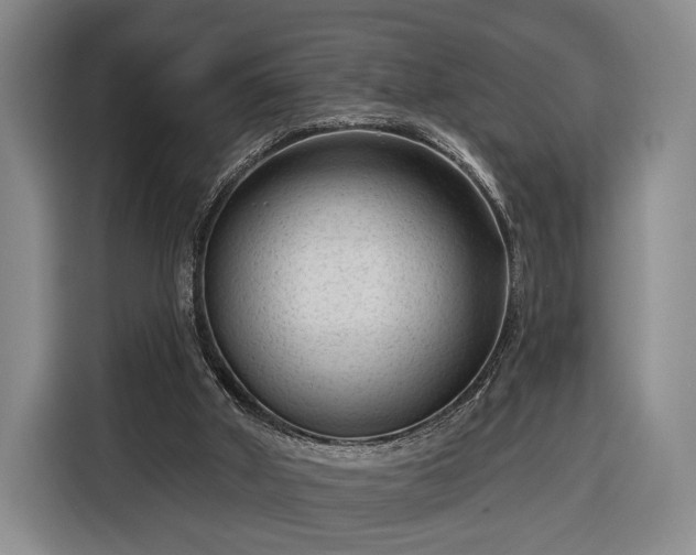 X0000116340010200912091119