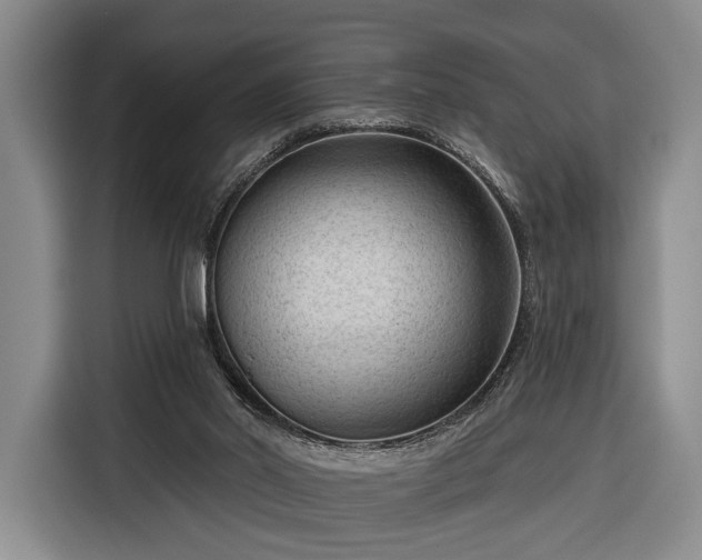 X0000116340014200912091119