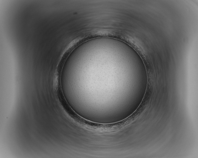 X0000116340016200912091119