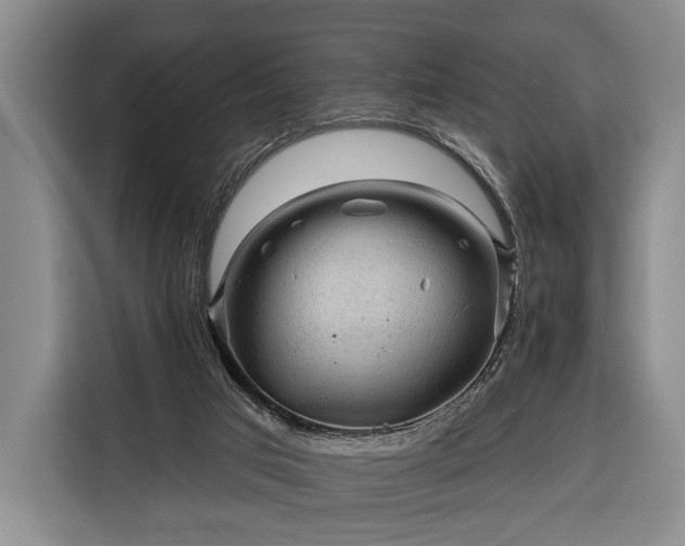 X0000116340017200912091119