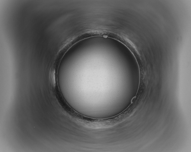 X0000116340020200912091119