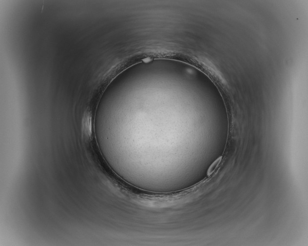 X0000116340021200912091119