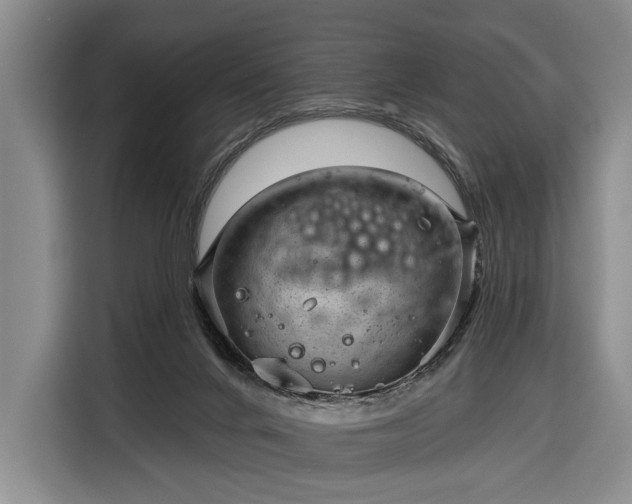 X0000116340024200912091119