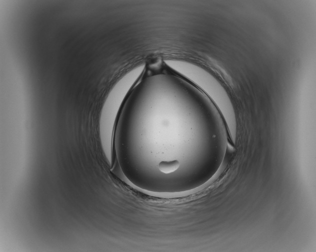 X0000116340025200912091119