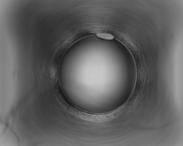 X0000116340031200912091118