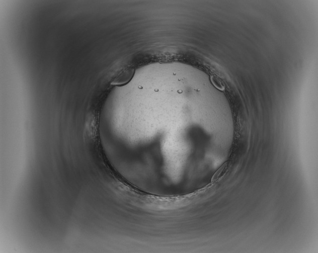 X0000116340037200912091118