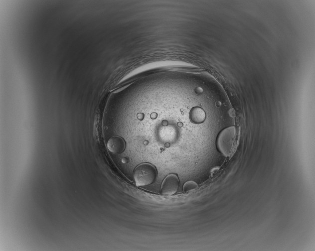 X0000116340038200912091118