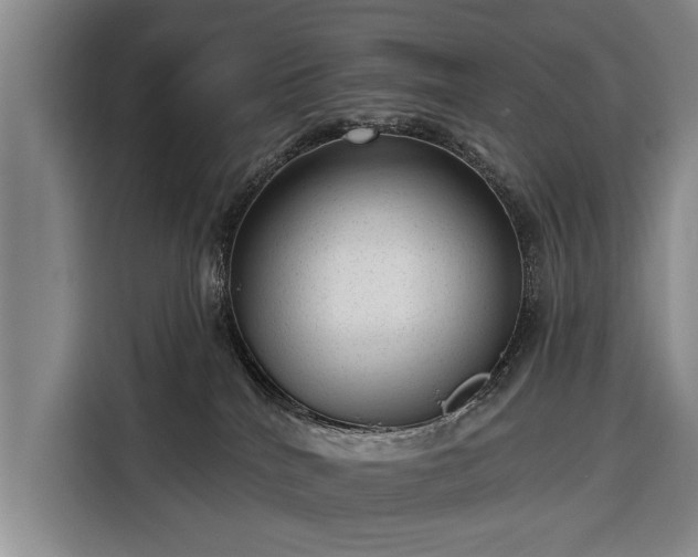 X0000116340040200912091118