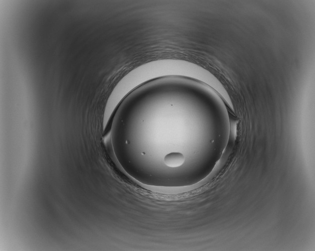 X0000116340043200912091118