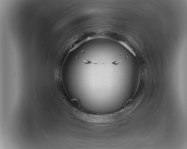 X0000116340044200912091118