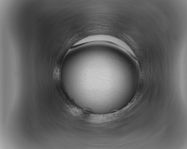 X0000116340045200912091118