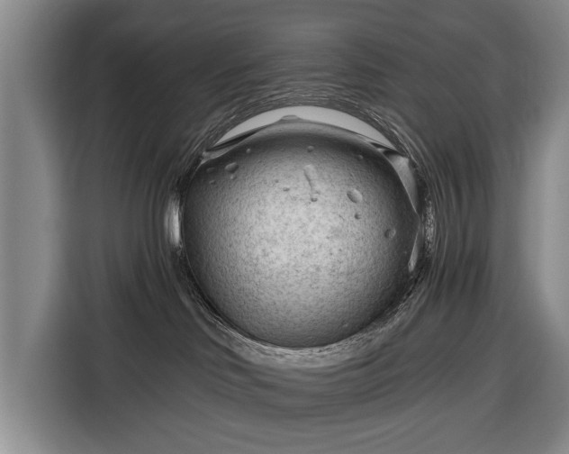 X0000116340046200912091118