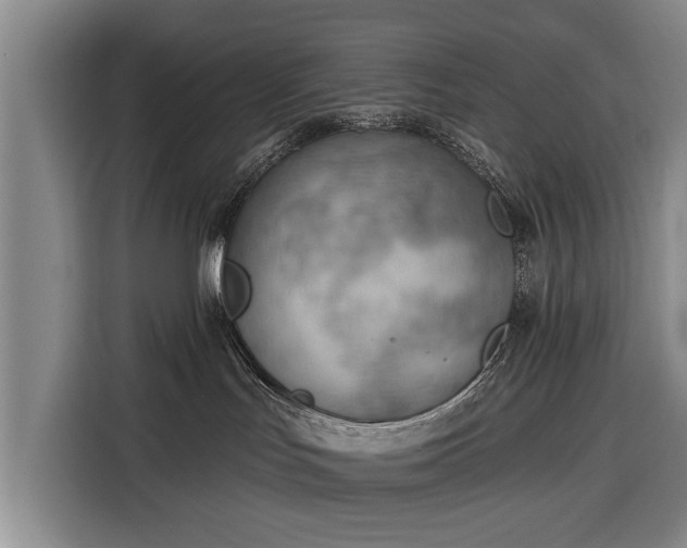 X0000116340047200912091118