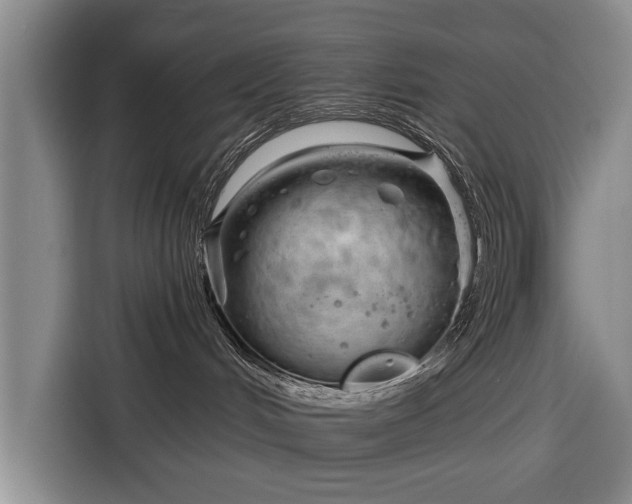 X0000116340048200912091118