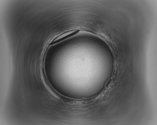 X0000116340049200912091118