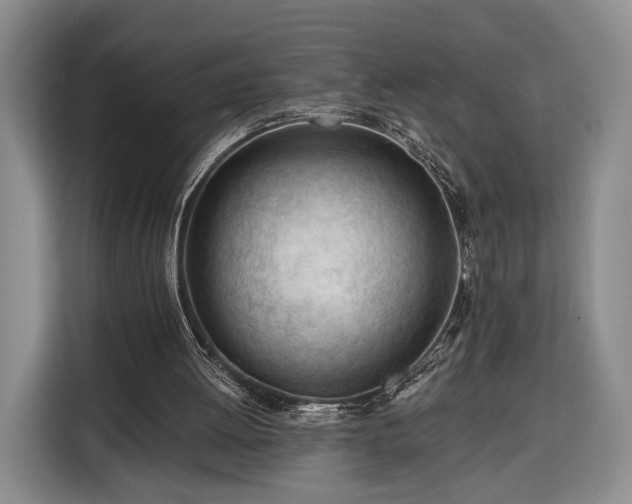 X0000116340052200912091118