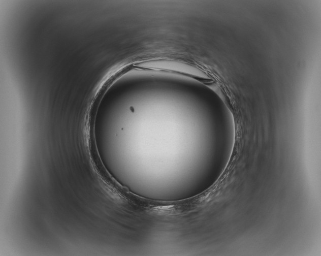 X0000116340054200912091118