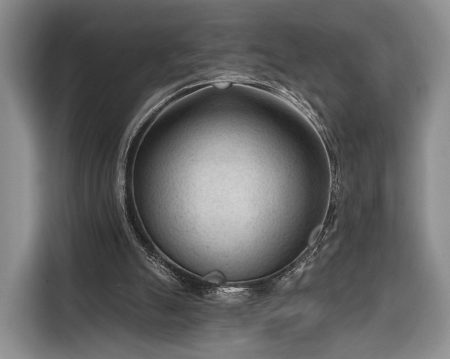 X0000116340055200912091118