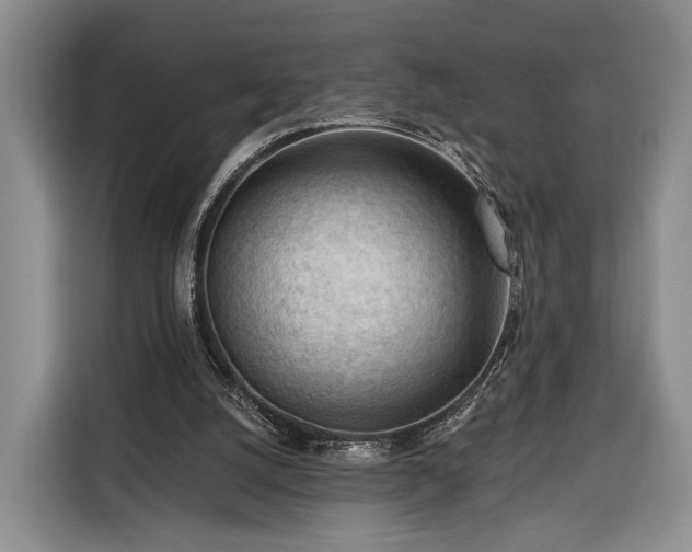 X0000116340056200912091118