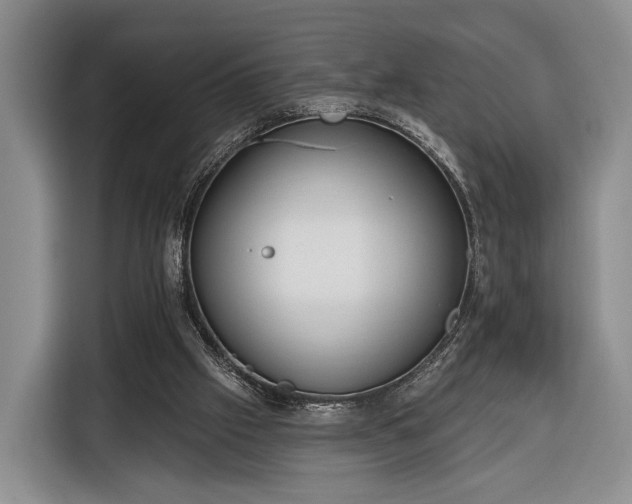 X0000116340057200912091118