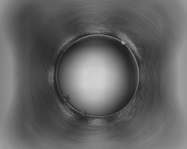 X0000116340058200912091118