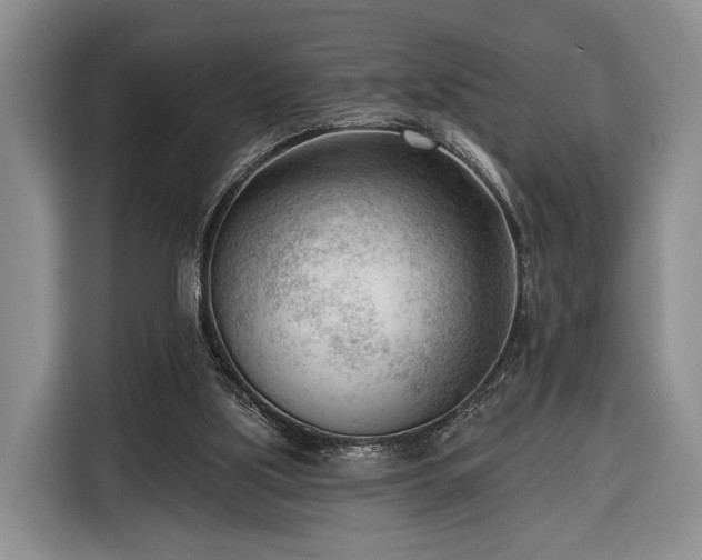 X0000116340059200912091118