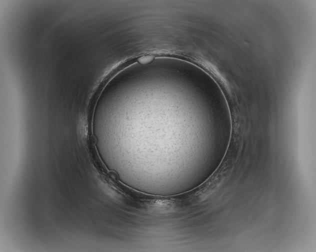 X0000116340060200912091118