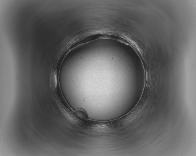 X0000116340061200912091118