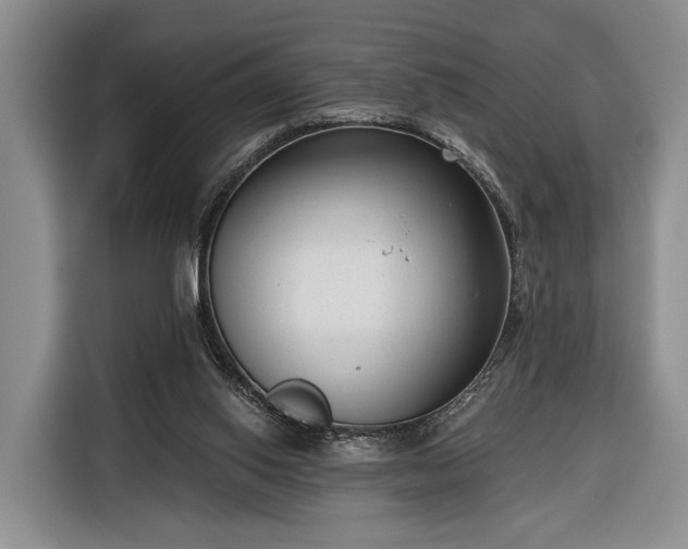 X0000116340062200912091118