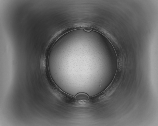 X0000116340064200912091118