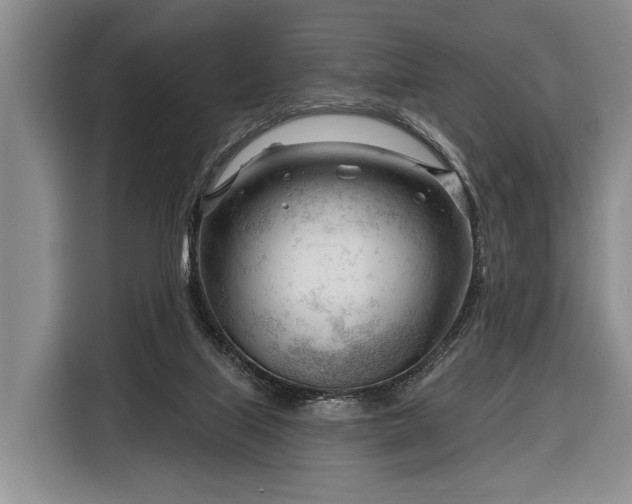 X0000116340067200912091118