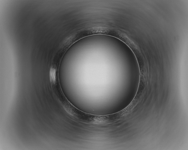 X0000116340070200912091118